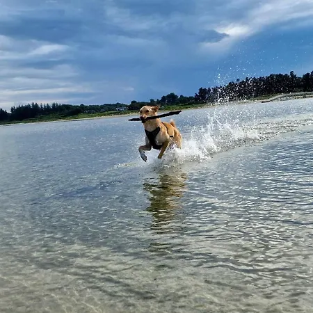 Hébergement de vacances 10 Person In Hadsund-by Traum